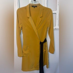 Dynamite long sleeve mini dress